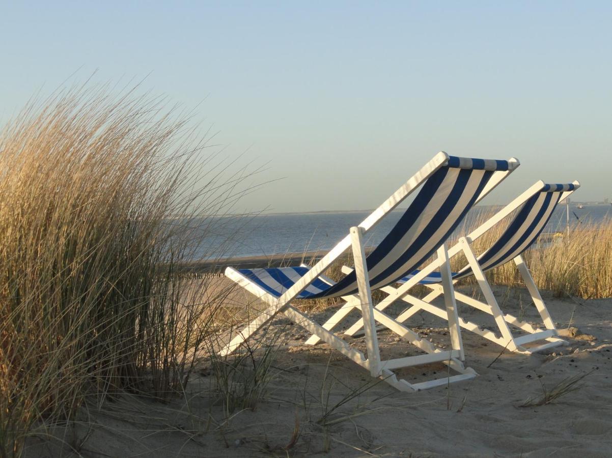 Kustverhuur, Park Schoneveld, Zeester 27 Breskens Zewnętrze zdjęcie